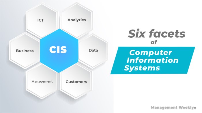 What is Computer Information Systems or CIS? - Management Weekly