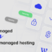 Managed vs Unmanaged Hosting: Key Distinctions - 10Web